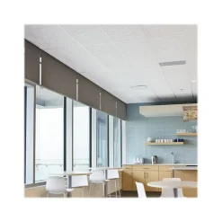 Armstrong FISSURED Angled Tegular Edge Ceiling Tile, 24" x 24", White, 12/Carton (BP815A)