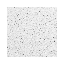 Armstrong GEORGIAN Square Lay-In Edge Ceiling Tile, 24" x 48", White, Dozen (BP763D)