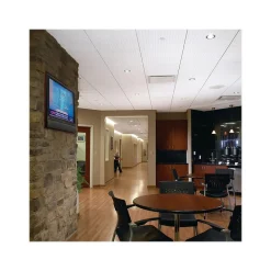 Armstrong GRAPHIS Rustex Beveled Tegular Edge Ceiling Tile, 24" x 24", White, 12/Carton (BP2600)