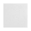 Armstrong LYRA Plant-Based Square Lay-In Ceiling Tile, 24" x 48", White, Dozen (BP8373PB)