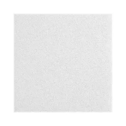 Armstrong LYRA Plant-Based Square Lay-In Ceiling Tile, 24" x 48", White, Dozen (BP8373PB)