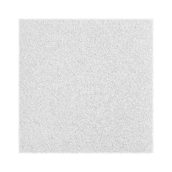 Armstrong OPTIMA Square Tegular Ceiling Tile, 24" x 72", White, 6/Carton (BP3261A)