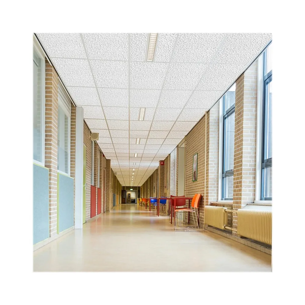Armstrong TUNDRA Square Lay-In Edge Ceiling Tile, 24" x 48", White, 16/Carton (BP301A)