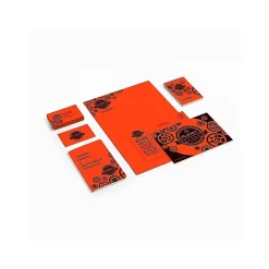 Card Stock*Astrobrights 65 lb. Cardstock Paper, 8.5