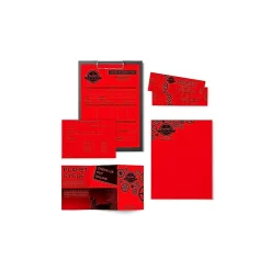 Multipurpose Paper*Astrobrights Colored Paper, 24 lbs., 8.5