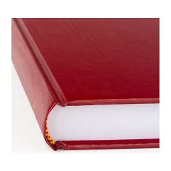 Journals|AT-A-GLANCE Standard Hardcover 2025 Daily Diary, 7.75
