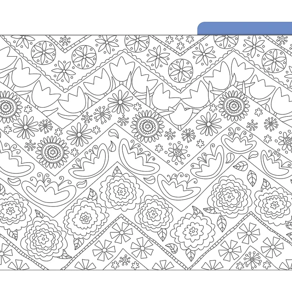 File Folders|Barker Creek Color Me! File Folder Set, 1/3-Cut Tab, Letter Size, In My Garden, 12/Pack (2008)