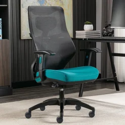 Ergonomic Chairs*Beautyrest Duo-EX Ergonomic Mesh Swivel Computer Chair, (60051-TEL) Teal
