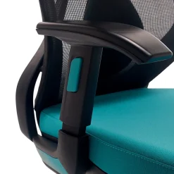 Ergonomic Chairs*Beautyrest Duo-EX Ergonomic Mesh Swivel Computer Chair, (60051-TEL) Teal
