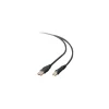 Belkin ® 6' Hi-Speed USB 2.0 Cable, Black