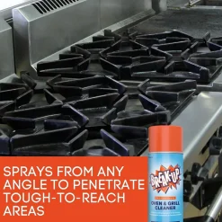 Professional Kitchen & Oven Cleaner, 19 oz., 6/Carton (CBD991206)<Break-Up Best