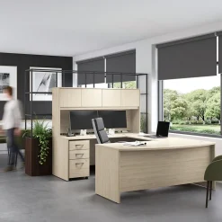 Storage Cabinets*Bush Furniture Bush Business Furniture Studio C Low Storage Cabinet with Doors and Shelves, Natural Elm (SCS160NE)