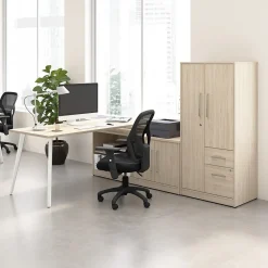 Storage Cabinets*Bush Business Furniture Vista Wardrobe Cabinet with Drawers, Natural Elm (VSS130NEK)