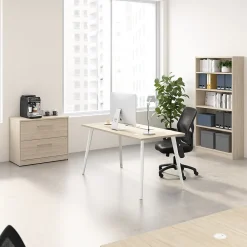 File Cabinets*Bush Business Furniture Vista 2 Drawer File Cabinet, Natural Elm (VSF136NESU)