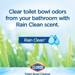 Disinfecting Toilet Bowl Cleaner with Bleach, Rain Clean Scent, 24 Oz., 2/Pack (00273)<Clorox Best