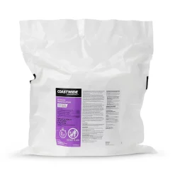 â„¢ Disinfecting Wipes, 700 Wipes/Container, 2/Carton (CW105WW14-A)<Coastwide Professional Sale
