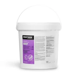 â„¢ Disinfecting Wipes, 700 Wipes/Container, 700/Pack (CW105WW70-A)<Coastwide Professional Hot