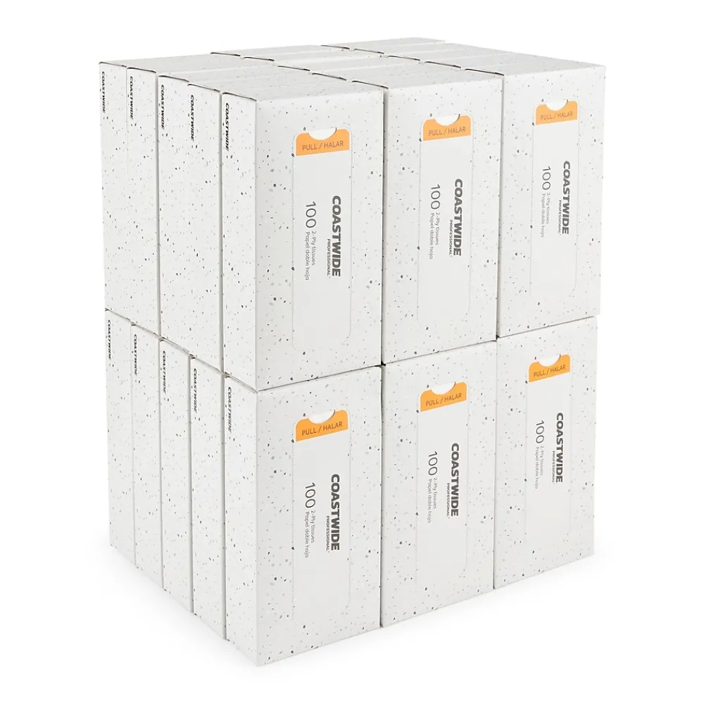 ™ Recycled Facial Tissue, 2-Ply, 100 Sheets/Box, 30 Boxes/Carton (CW57776)<Coastwide Professional Discount