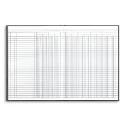 Accounting & Record Journals*Quill Brand Columnar Book, 12-Columns, 7.25" x 9.5", Blue Marble, 40 Sheets/Book (217976ABF)
