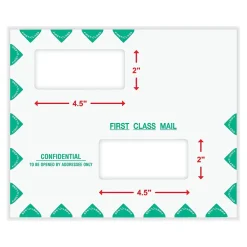Online ComplyRight Self-Seal Tax Envelope, 9.5