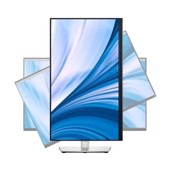 Dell 24