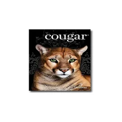 Card Stock*Domtar Cougar Digital 80 lb. Cover Paper, 11" x 17", White, 250 Sheets/Pack (2868)