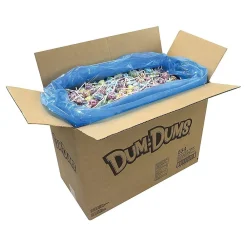 Dum Dums Lollipops, Assorted Flavors, 480 oz., (211-00014)