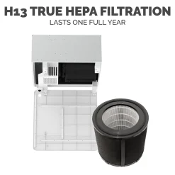 Fellowes Array AR1 True HEPA Ceiling Mounted Air Purifier, 5-Speed, White (5888601)