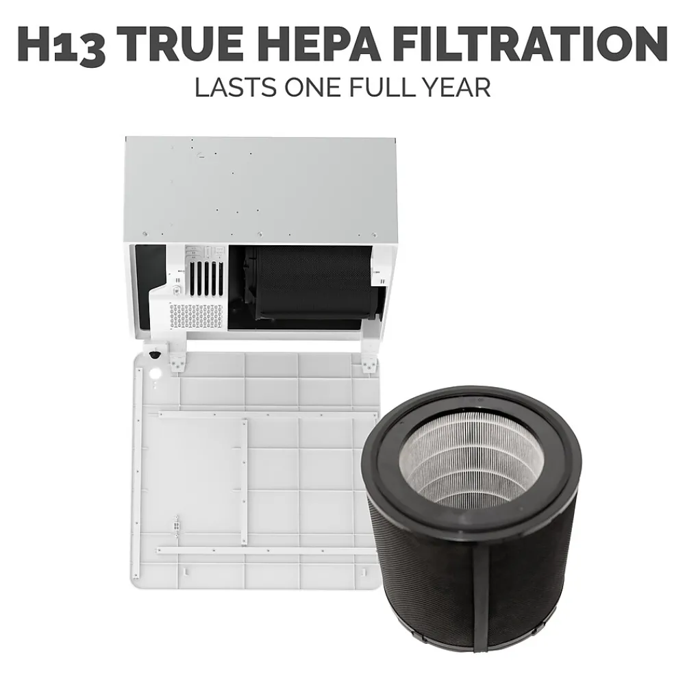Fellowes Array AR1 True HEPA Ceiling Mounted Air Purifier, 5-Speed, White (5888601)