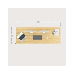 Standing Desks*FlexiSpot E7Q 78