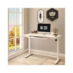 Standing Desks*FlexiSpot EW8 48