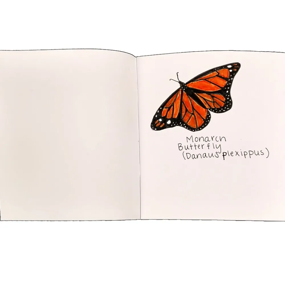 Journals|Flipside Journal, 7" x 8.5", White, Blank, 28 Pages, 24/Set (FLPBK524)