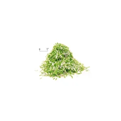 IDEAL 4002 P-4 Security 25 Sheet Cross Cut Multi-Media Commercial Shredder (IDEDSH0393OH)