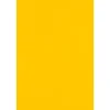 Card Stock*JAM Paper 12" x 18" Cardstock, Sunflower, 50/pack (1218-C-12-50)