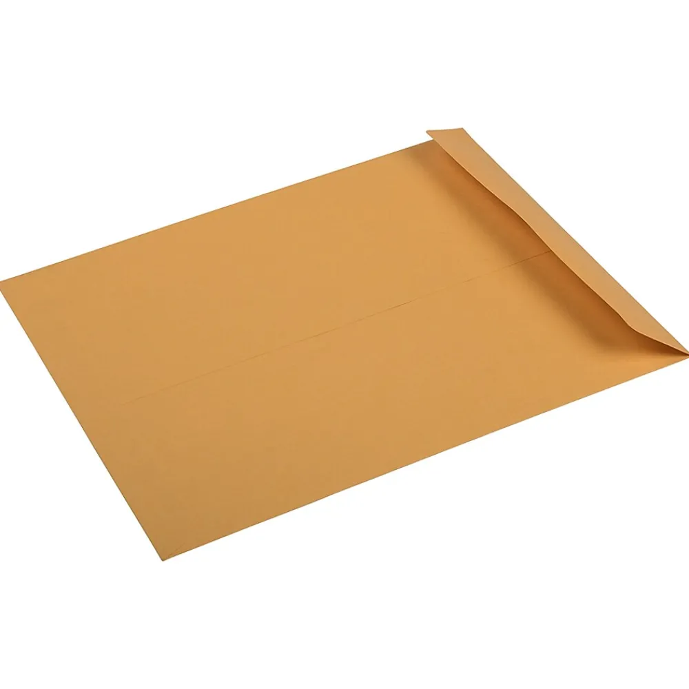 Sale JAM Paper 10 x 13 Kraft Open End Catalog Premium Envelopes, Manila, Bulk 250/Box (96268H)