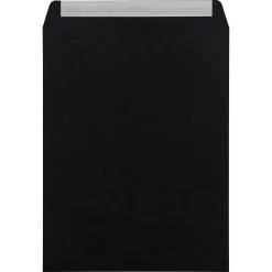 Clearance JAM Paper 10" x 13" Open End Catalog Envelopes, Black, 25/Pack (87733a)