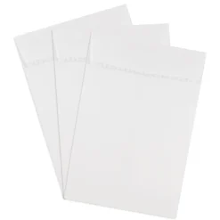 Best JAM Paper ® 6 x 9 Open End Catalog Envelopes with Peel and Seal Closure, White, 25/Pack (356828777A)