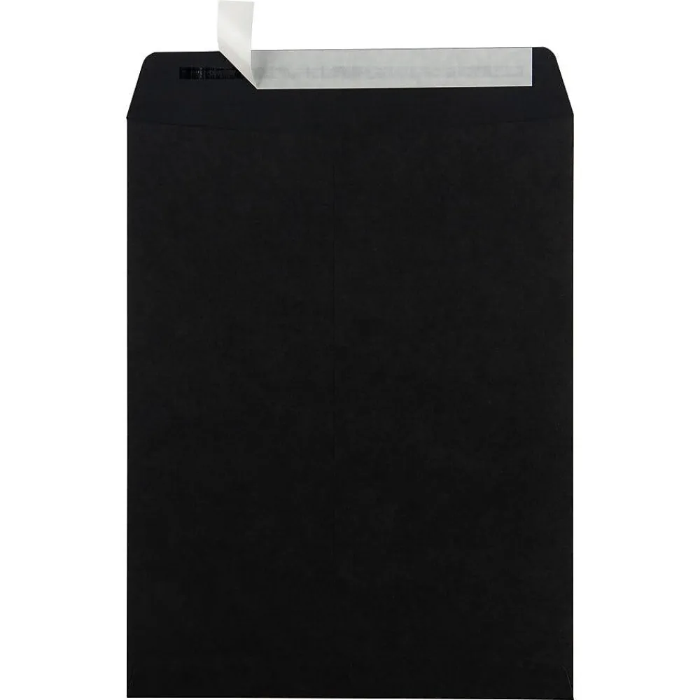 Discount JAM Paper 10" x 13" Open End Catalog Envelopes, Black, 10/Pack (87733B)