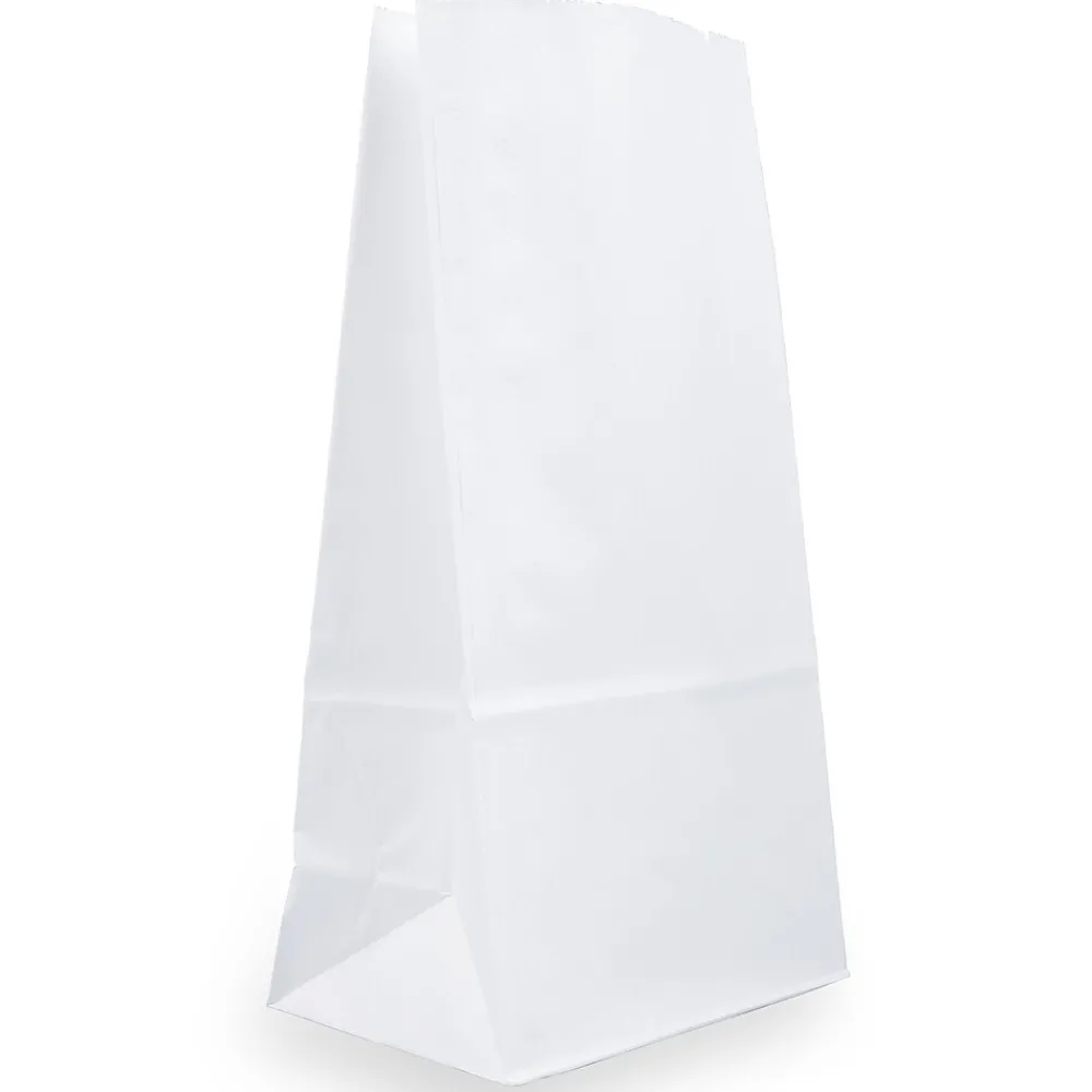JAM Paper Kraft Lunch Bags, Large, 6" x 11" x 3.5", White, 25/Pack (692KRWH)