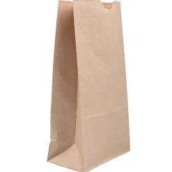 Lunch Totes & Water Bottles|JAM Paper Kraft Lunch Bags, Medium, 5" x 9.75" x 3", Brown Kraft Recycled, Bulk 500 Bags/Box (691KRBRB)