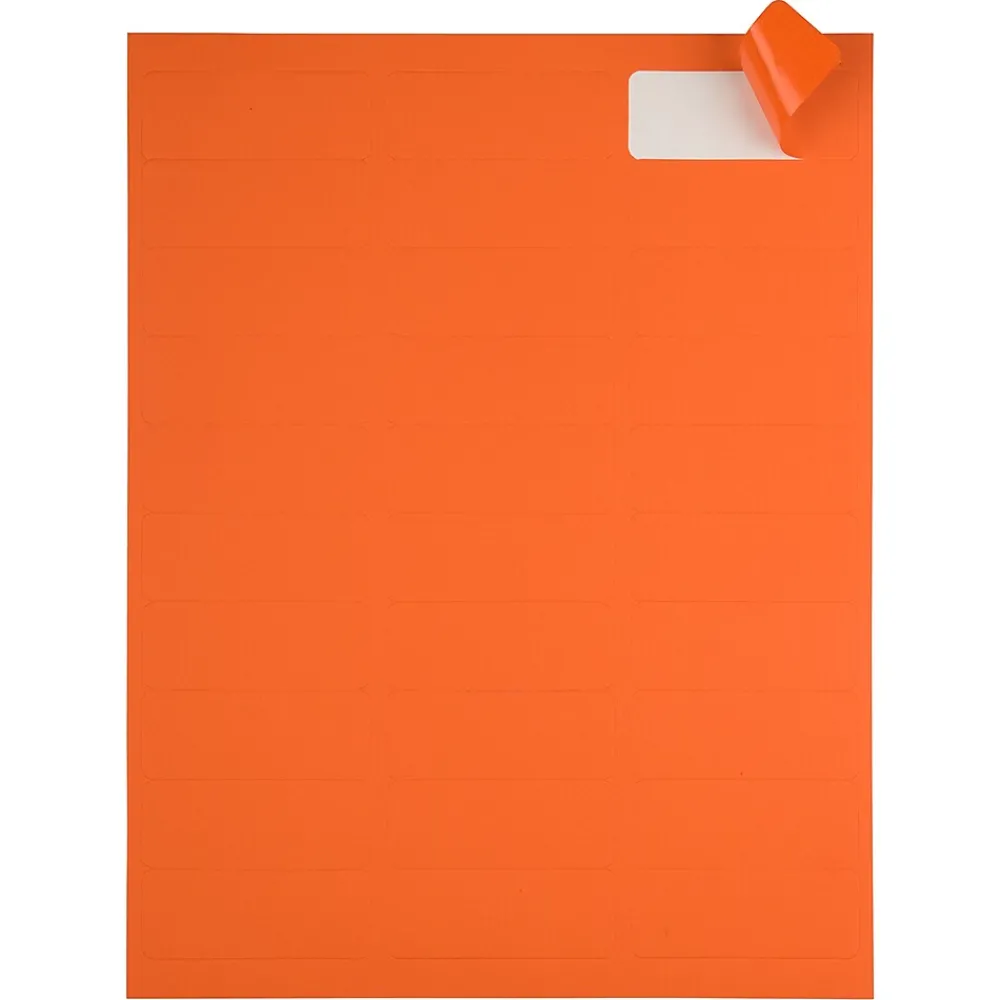 Clearance JAM Paper Laser/Inkjet Mailing Address Label, 1" x 2 5/8", , 30 Labels/Sheet, 4 Sheets/Pack (302725782) Orange