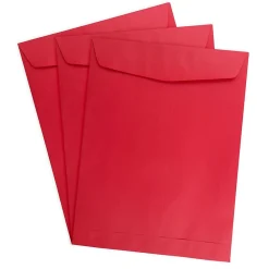 Hot JAM Paper Open End Catalog Envelope, 9