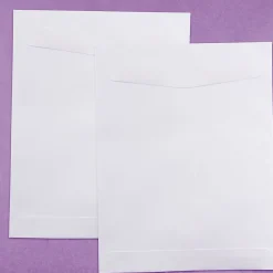 Sale JAM Paper Open End Catalog Envelope, 8 3/4