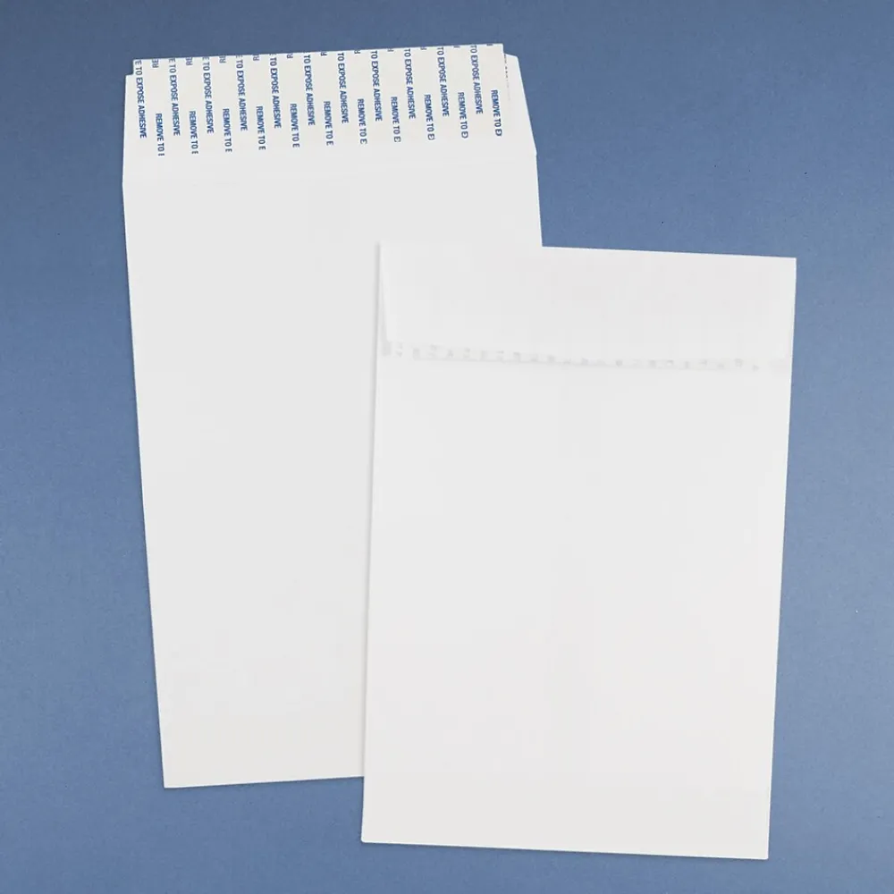 New JAM Paper Open End Open End #1 Catalog Envelope, 6" x 9", White, 500/Pack (356828777)