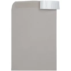 Sale JAM Paper Self Seal Catalog Envelope, 9" x 12", 500/Box (12931115)
