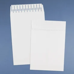Sale JAM Paper Self Seal Catalog Envelope, 6