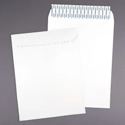 Best JAM Paper Self Seal Catalog Envelope, 9