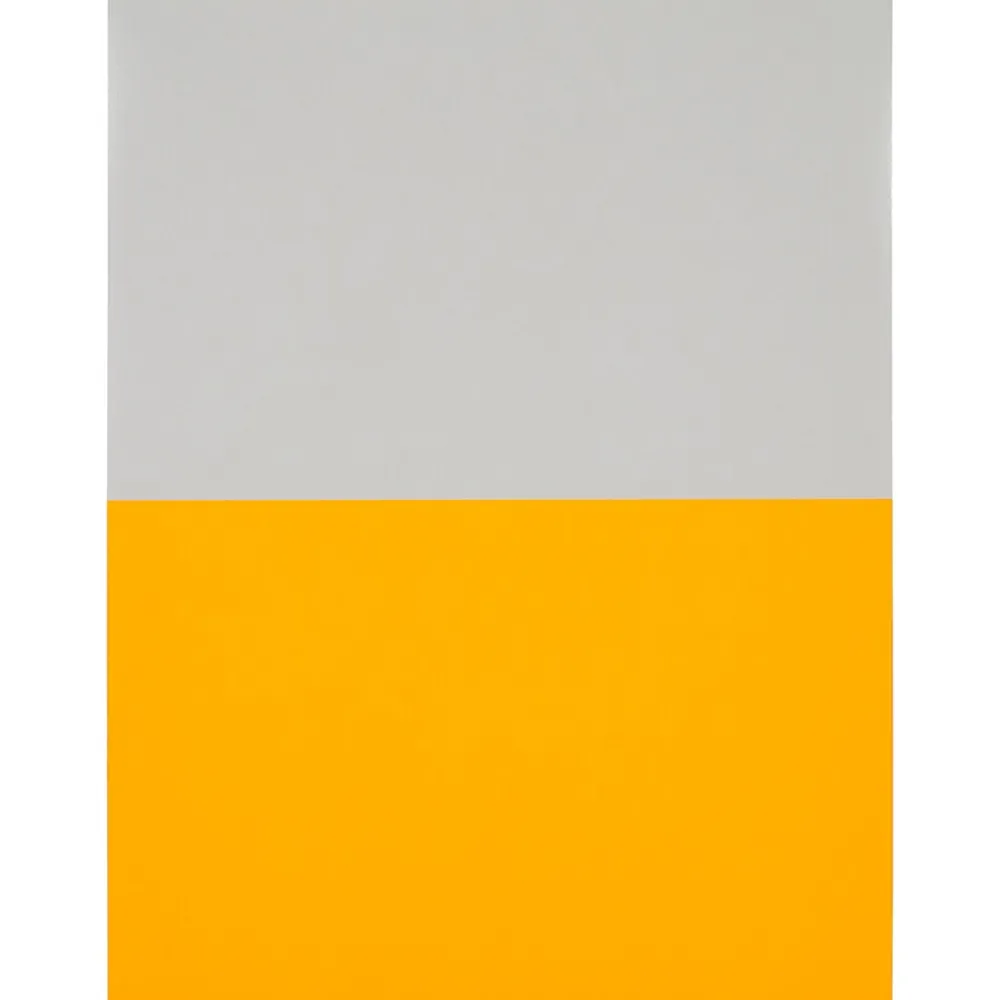 JAM Paper Shipping Labels, Half Page, 5 1/2" x 8 1/2", , 2 Labels/Sheet, 25 Sheets/Pack (359429628) Neon Orange
