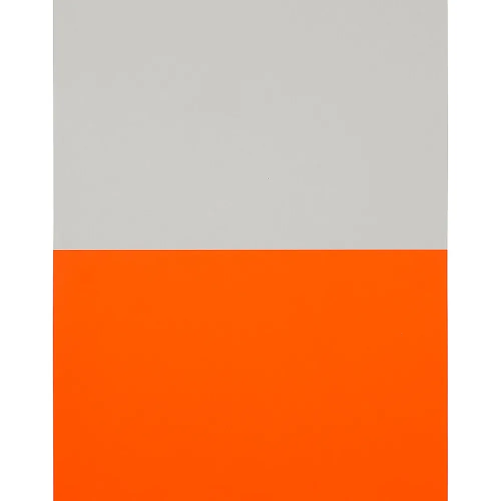 Clearance JAM Paper Shipping Labels, Half Page, 5 1/2" x 8 1/2", , 2 Labels/Sheet, 25 Sheets/Pack (359429625) Neon Red