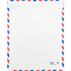 Online JAM Paper Tear-Proof Tyvek Open End Catalog Envelopes, 9" x 12", White Airmail, 10/Pack (2131102A)